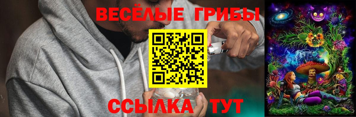Псилоцибиновые грибы Magic Shrooms Коркино